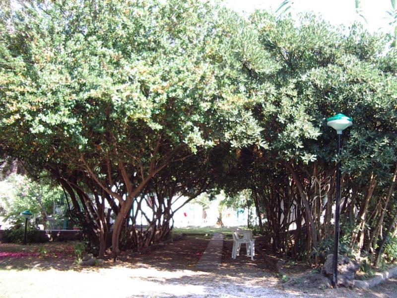 Baia Del Sole Hotel Paestum Kültér fotó