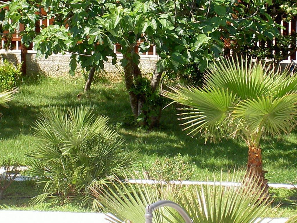 Baia Del Sole Hotel Paestum Kültér fotó